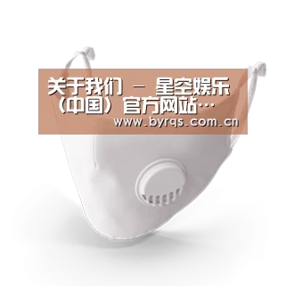 N95 口罩