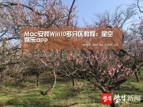 Mac安装Win10多分区教程：星空娱乐app